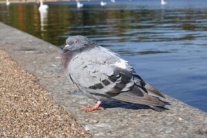 ウェッジのロフトはゴルフスイングにどのように影響するのか？